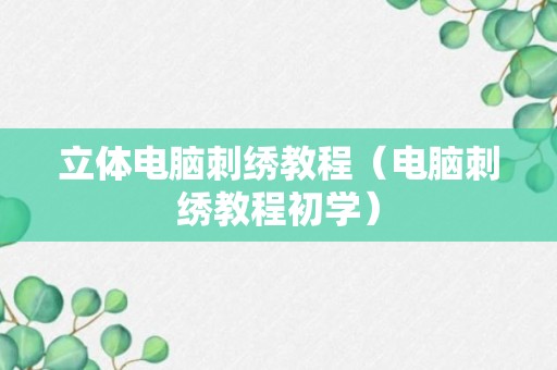 立体电脑刺绣教程（电脑刺绣教程初学）