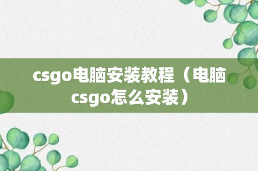 csgo电脑安装教程（电脑csgo怎么安装）