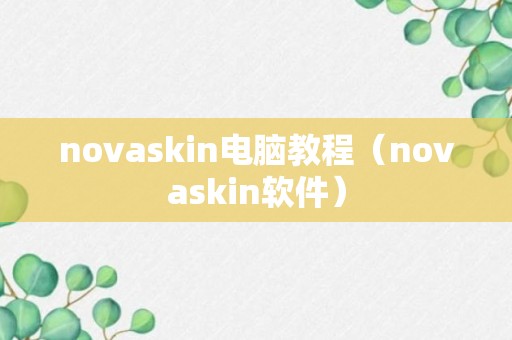 novaskin电脑教程（novaskin软件）