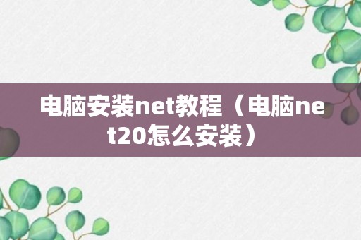 电脑安装net教程（电脑net20怎么安装）