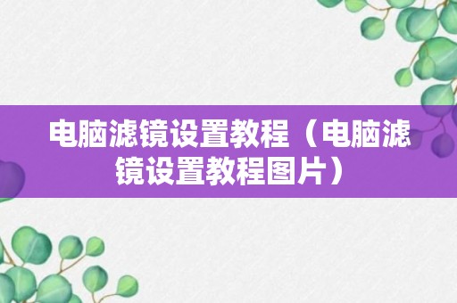 电脑滤镜设置教程（电脑滤镜设置教程图片）