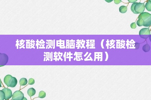 核酸检测电脑教程（核酸检测软件怎么用）