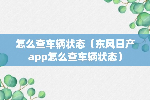 怎么查车辆状态（东风日产app怎么查车辆状态）