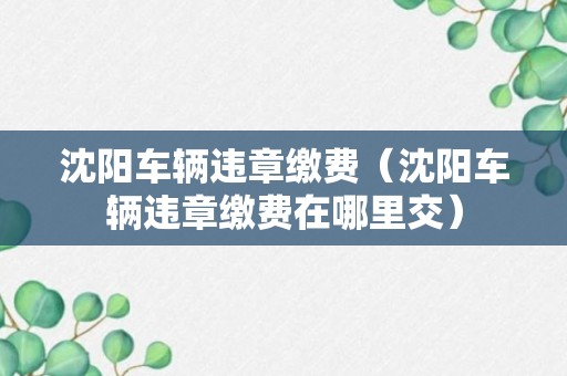 沈阳车辆违章缴费（沈阳车辆违章缴费在哪里交）