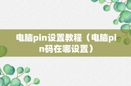 电脑pin设置教程（电脑pin码在哪设置）