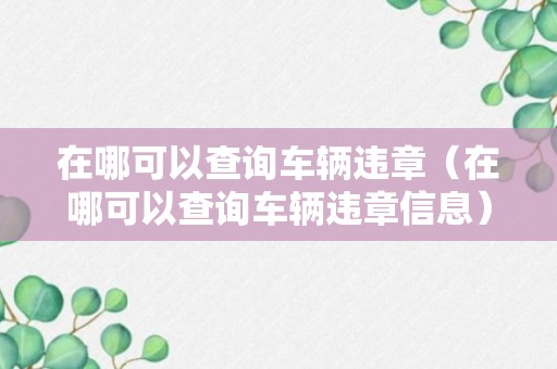 在哪可以查询车辆违章（在哪可以查询车辆违章信息）