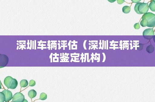 深圳车辆评估（深圳车辆评估鉴定机构）