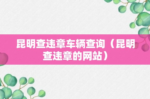 昆明查违章车辆查询（昆明查违章的网站）