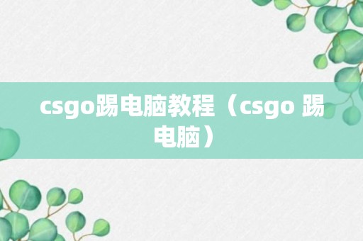 csgo踢电脑教程（csgo 踢电脑）