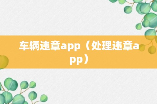 车辆违章app（处理违章app）