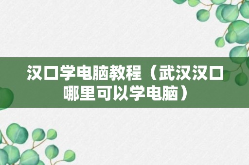 汉口学电脑教程（武汉汉口哪里可以学电脑）