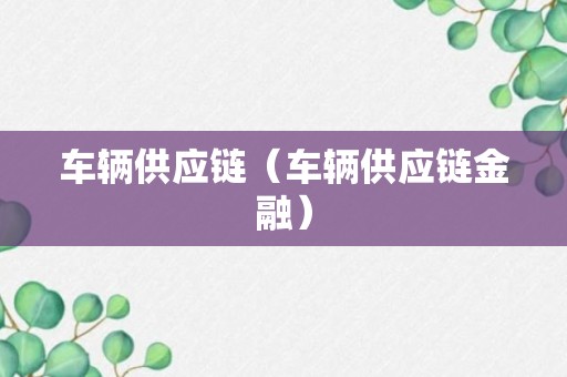 车辆供应链（车辆供应链金融）