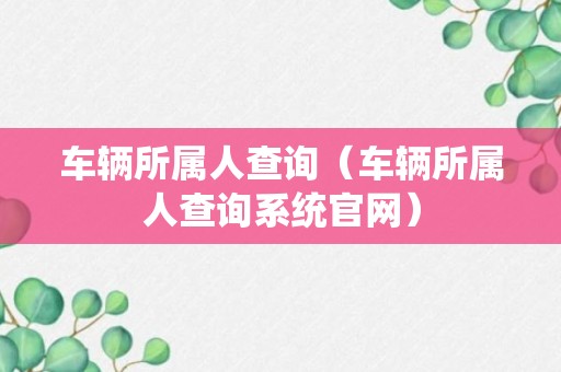 车辆所属人查询（车辆所属人查询系统官网）