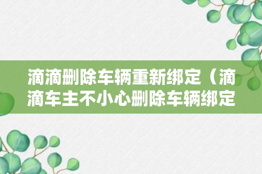 滴滴删除车辆重新绑定（滴滴车主不小心删除车辆绑定怎么办）