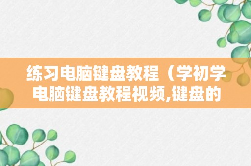 练习电脑键盘教程（学初学电脑键盘教程视频,键盘的使用）