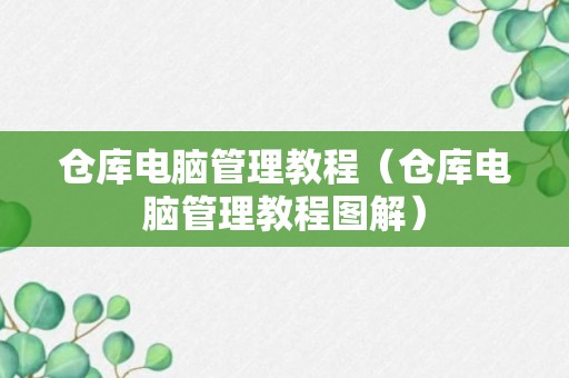 仓库电脑管理教程（仓库电脑管理教程图解）