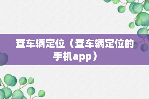 查车辆定位（查车辆定位的手机app）