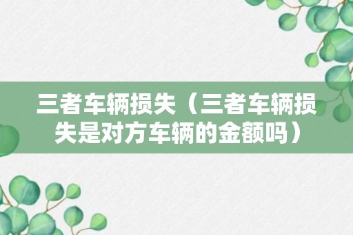 三者车辆损失（三者车辆损失是对方车辆的金额吗）