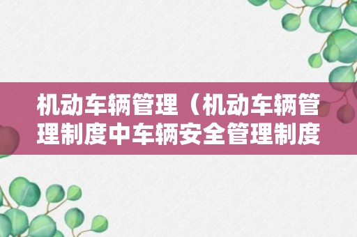 机动车辆管理（机动车辆管理制度中车辆安全管理制度的相关内容）