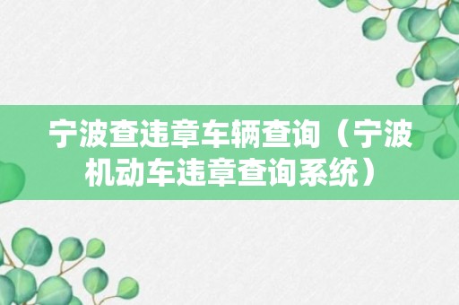 宁波查违章车辆查询（宁波机动车违章查询系统）