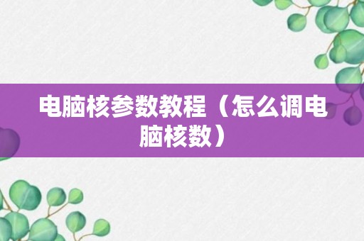 电脑核参数教程（怎么调电脑核数）