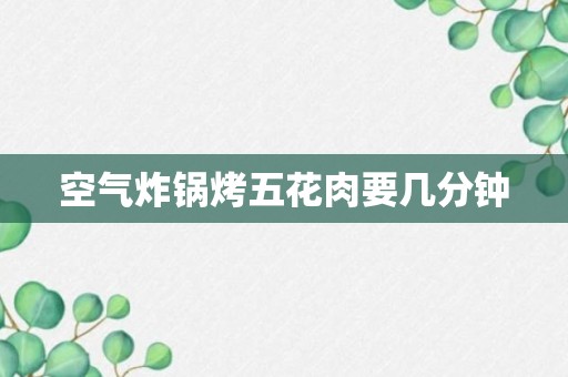 空气炸锅烤五花肉要几分钟