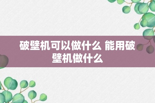 破壁机可以做什么 能用破壁机做什么