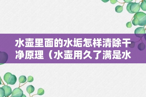 水壶里面的水垢怎样清除干净原理（水壶用久了满是水垢）