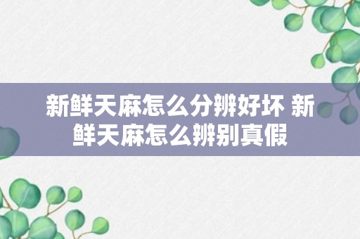 新鲜天麻怎么分辨好坏 新鲜天麻怎么辨别真假