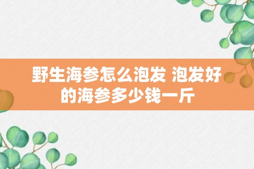 野生海参怎么泡发 泡发好的海参多少钱一斤