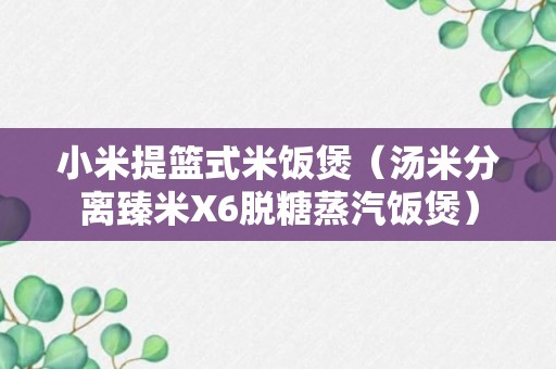 小米提篮式米饭煲（汤米分离臻米X6脱糖蒸汽饭煲）