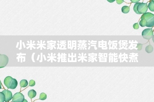 小米米家透明蒸汽电饭煲发布（小米推出米家智能快煮电饭煲电饭锅）