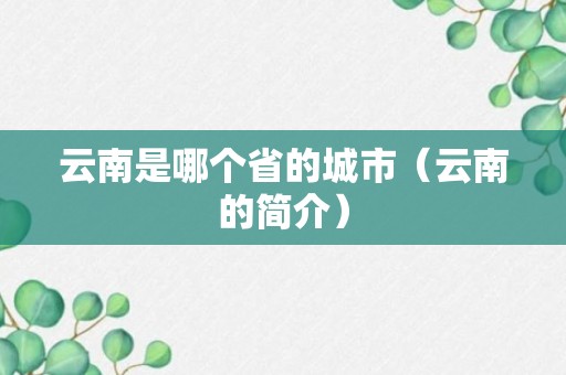 云南是哪个省的城市（云南的简介）