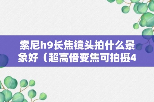 索尼h9长焦镜头拍什么景象好（超高倍变焦可拍摄4K的旅游神器）