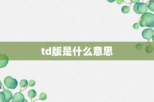 td版是什么意思