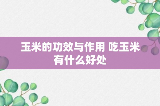 玉米的功效与作用 吃玉米有什么好处