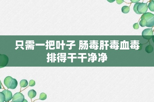 只需一把叶子 肠毒肝毒血毒排得干干净净