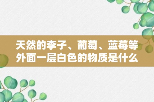 天然的李子、葡萄、蓝莓等外面一层白色的物质是什么？