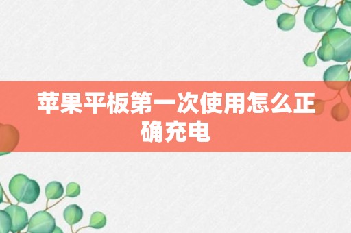 苹果平板第一次使用怎么正确充电