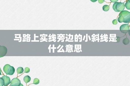 马路上实线旁边的小斜线是什么意思