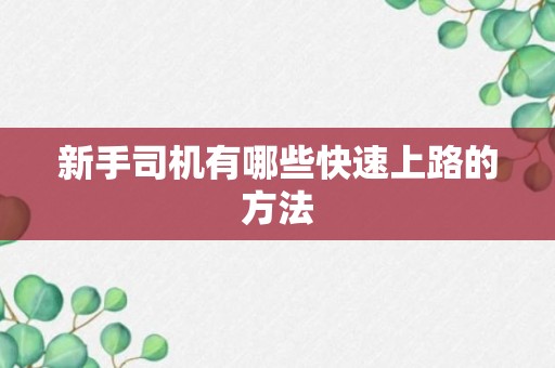 新手司机有哪些快速上路的方法