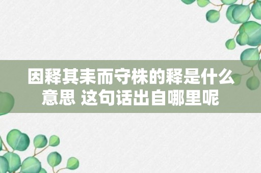 因释其耒而守株的释是什么意思 这句话出自哪里呢