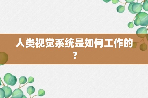 人类视觉系统是如何工作的？