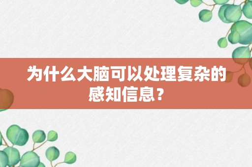 为什么大脑可以处理复杂的感知信息？