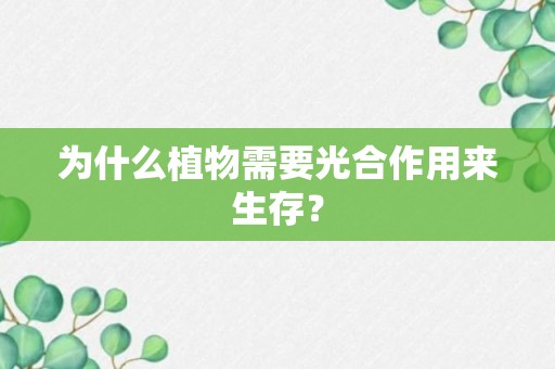 为什么植物需要光合作用来生存？