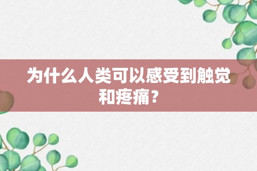 为什么人类可以感受到触觉和疼痛？