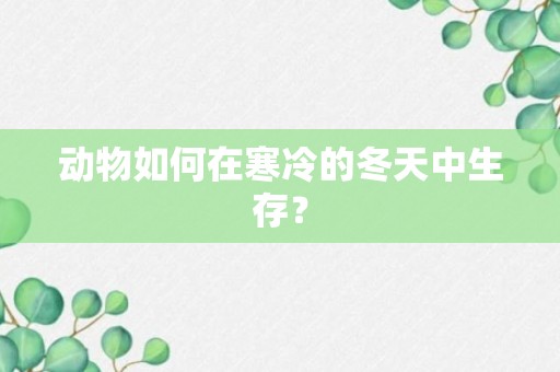 动物如何在寒冷的冬天中生存？