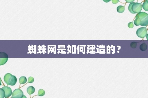 蜘蛛网是如何建造的？