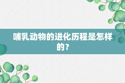 哺乳动物的进化历程是怎样的？