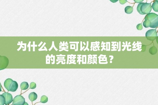 为什么人类可以感知到光线的亮度和颜色？